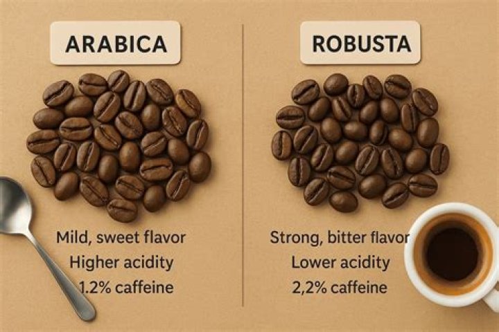 Are Arabica coffee beans healthy?