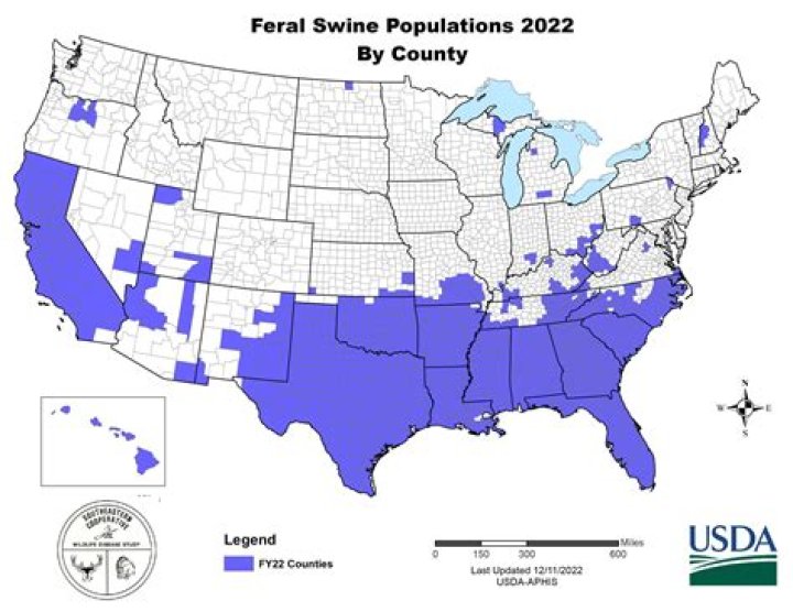 Are there wild boars in NY State?
