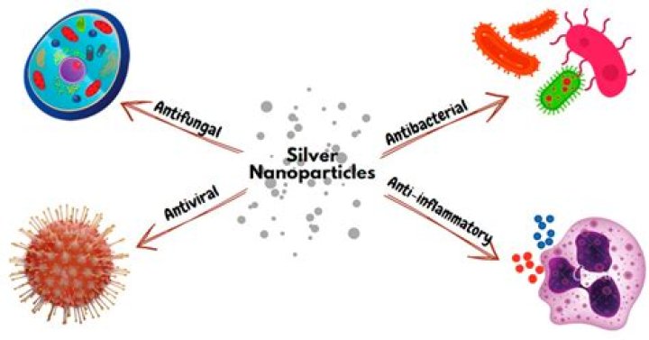 Can silver nanoparticles be harmful?