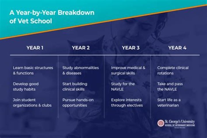 Can you become a vet in 6 years?