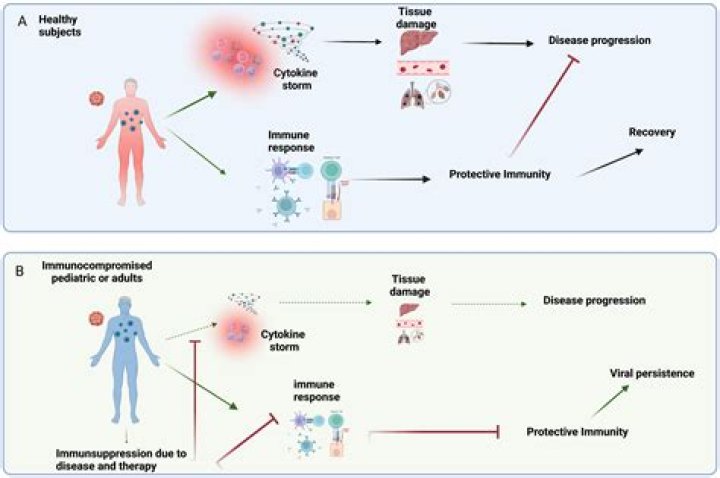 Can you get an infection after an ablation?