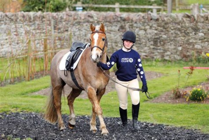 Can you ride a horse in Pony Club?