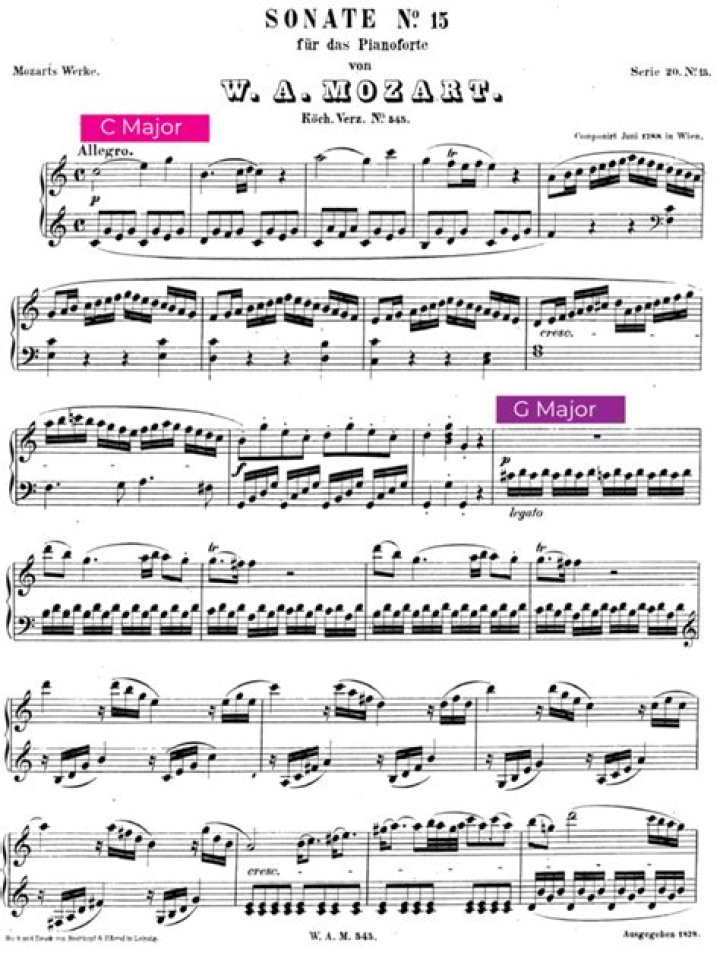 Did Beethoven use the sonata form?