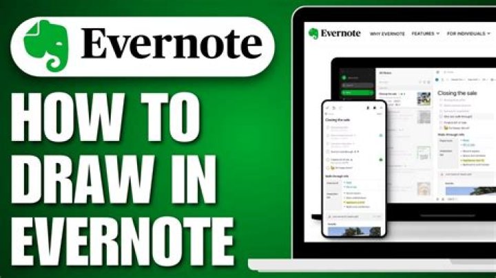 Does Evernote have a draw feature?