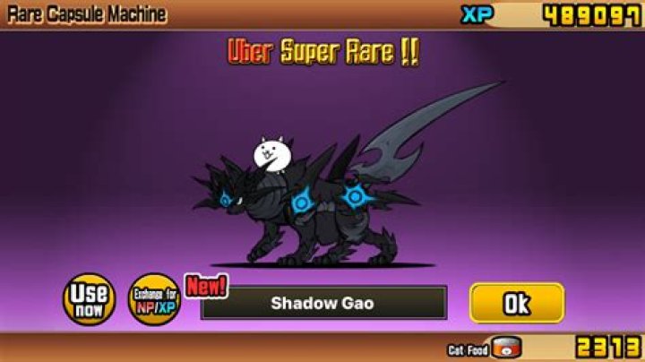Does shadow Gao have a true form?
