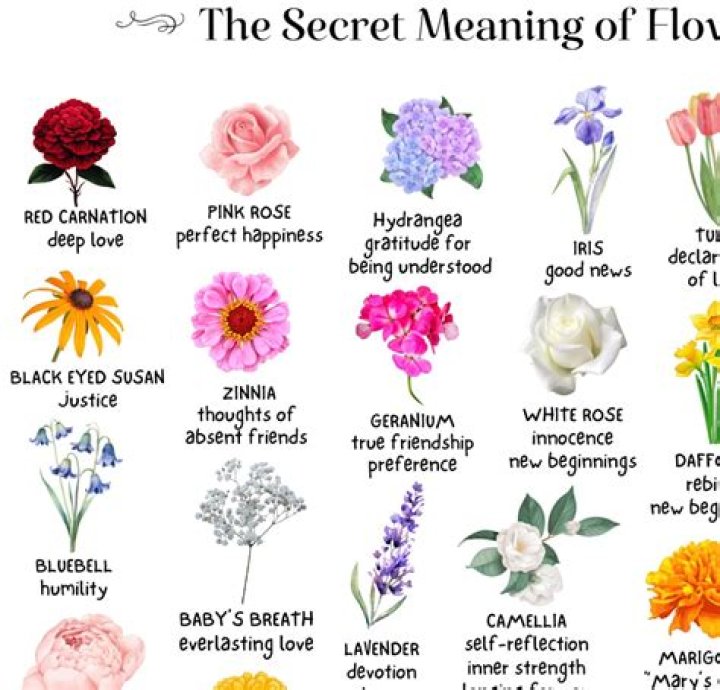 How do flowers inspire us?