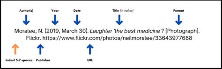 How do I cite an Internet reference?