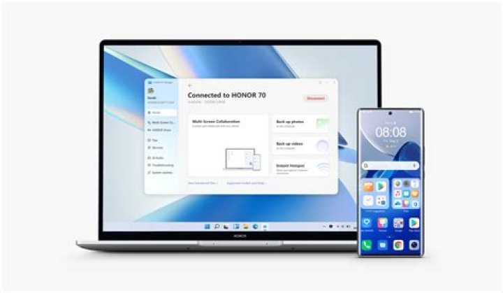 How do I connect my precision Anova to my phone?