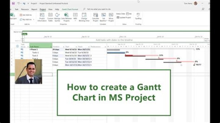 How do I download a Gantt chart from MS project?