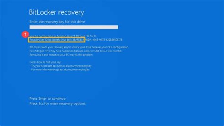 How do I find my recovery code for Hotmail?