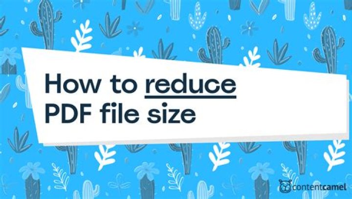 How do I reduce the size of a WMV file?