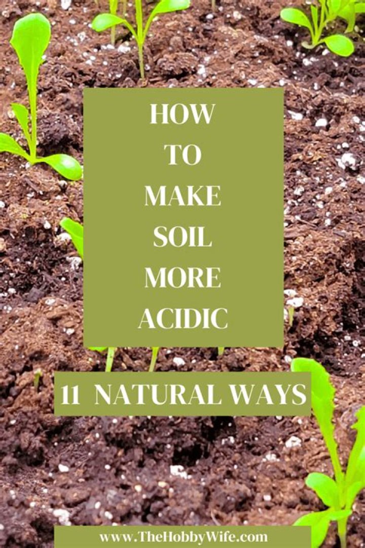 How do you acidify soil quickly?