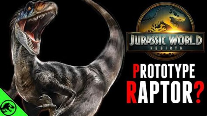 How do you get Raptors presale tickets?