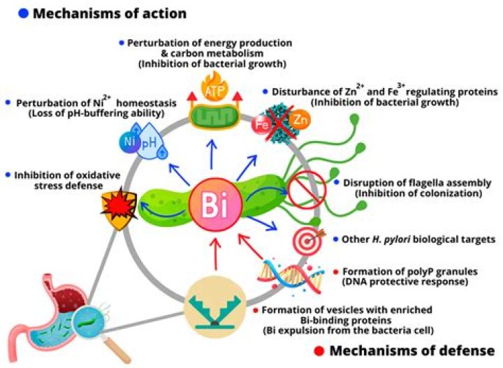 How does bismuth sulfite agar work?