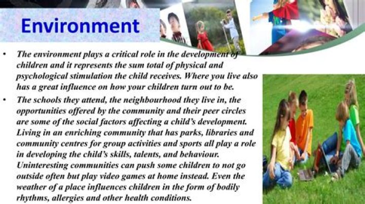 How does environment affect personality examples?