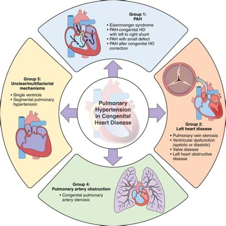 How does hypertension affect development?