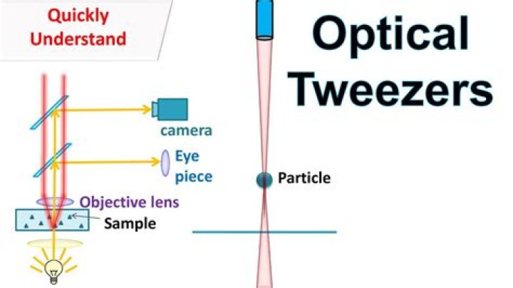 How does optical tweezers work?