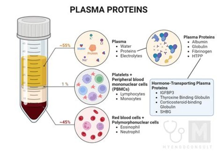 How does plasma protein binding Favours drug absorption?
