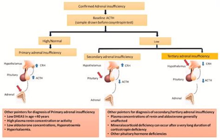 How is adrenarche treated?