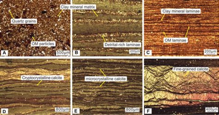 How is mudstone formed?
