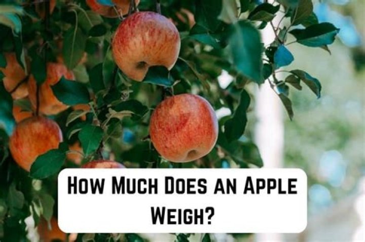 How many ounces does the average apple weigh?