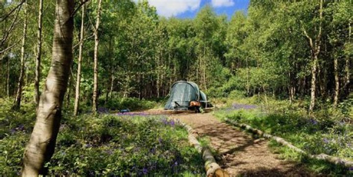 How much are campsites in Maine?
