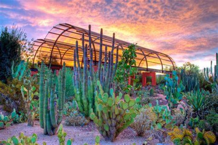 How much are Desert Botanical Garden tickets?
