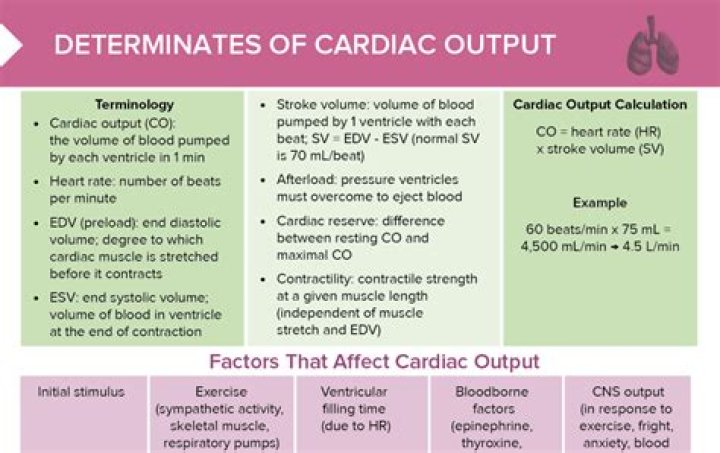How much does a cardiothoracic PA make?