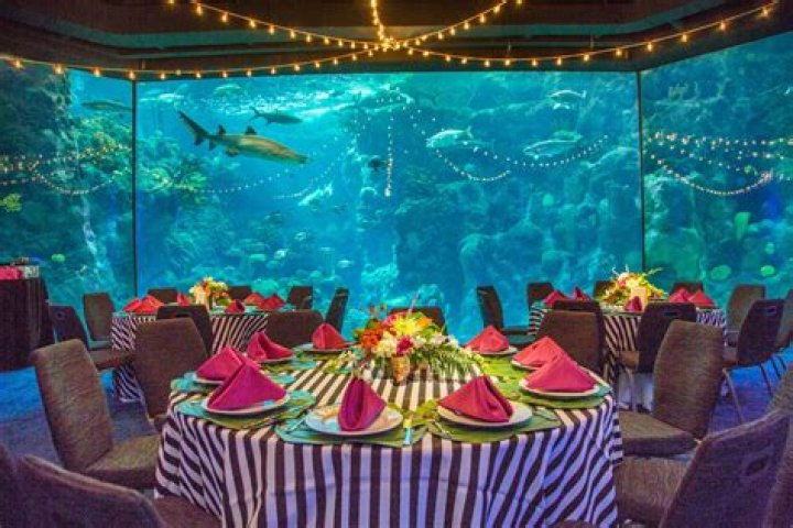 How much does it cost to go to the Tampa Aquarium?