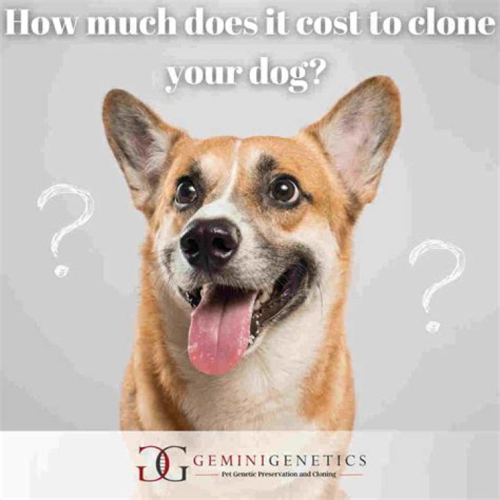 How much does it cost to move machinery?