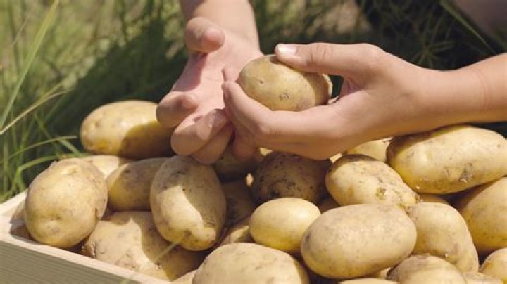 How much is a pound of potatoes?