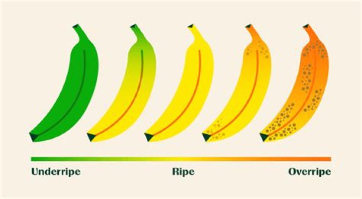 How ripe should plantains be for maduros?