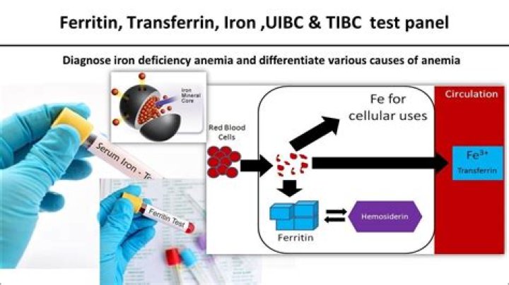 Is 37 a good ferritin level?