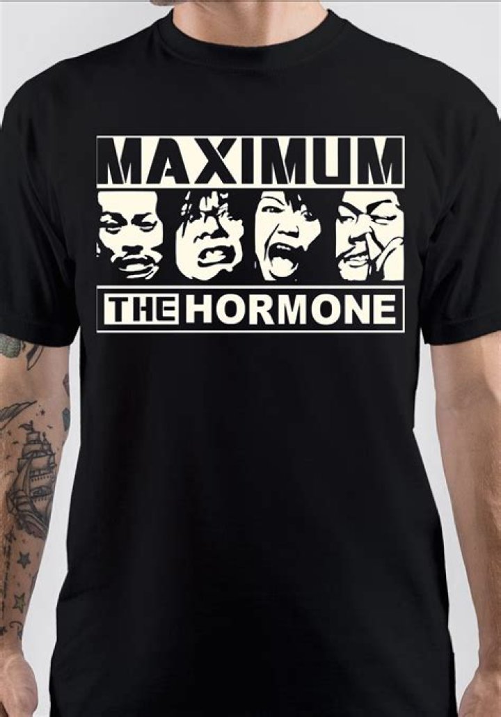 Is Maximum the Hormone on Spotify?