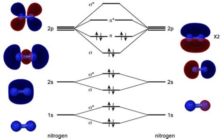 Is N2 a homonuclear molecule?