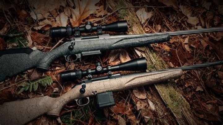 Is Ruger AR-556 any good?