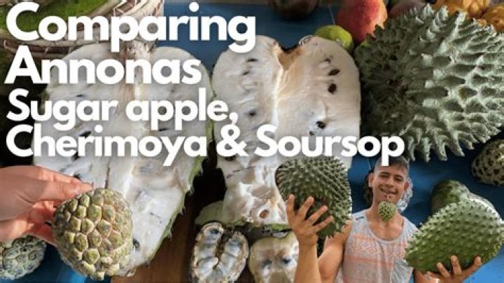 Is soursop and sugar apple the same?