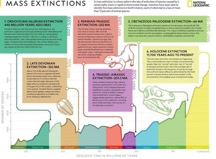Is there a mass extinction every 26 million years?