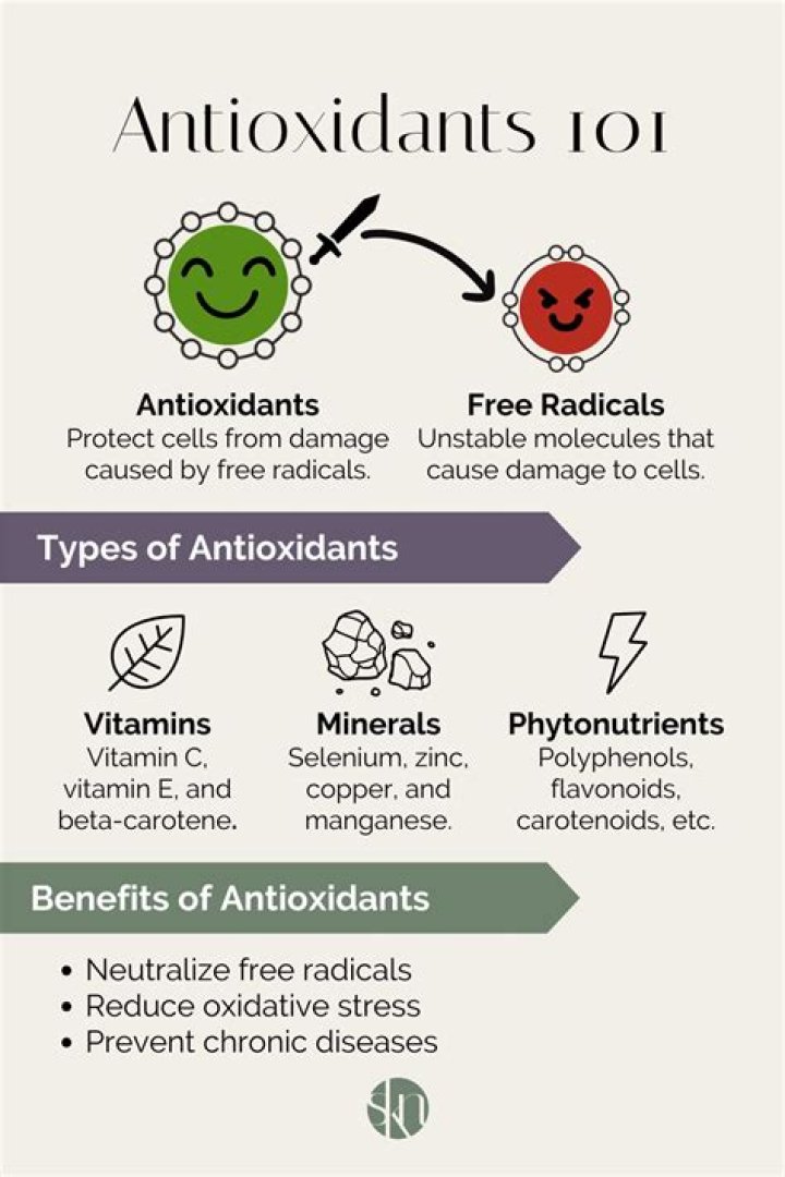 What are antioxidants short answer?