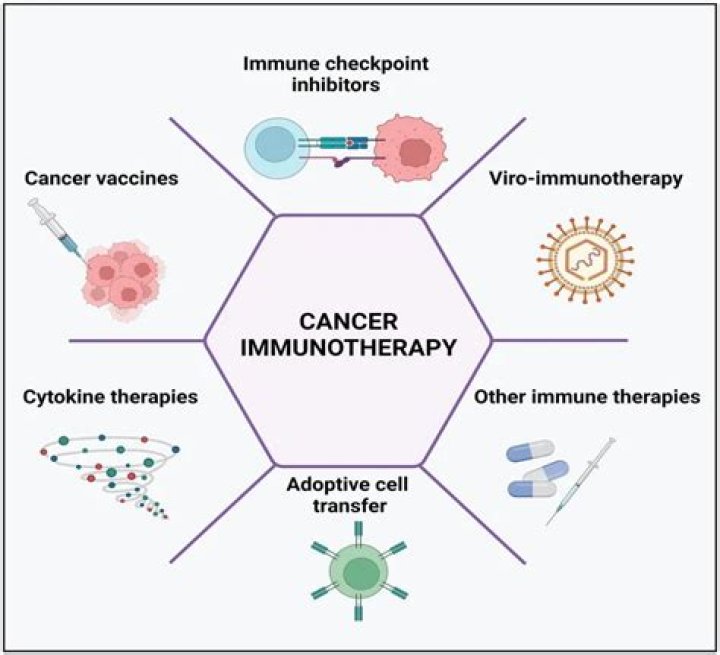 What are immuno techniques?