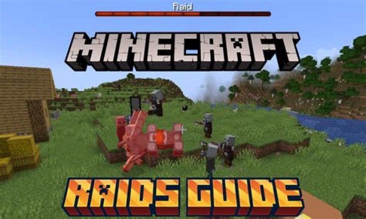 What are Raids good for in Minecraft?