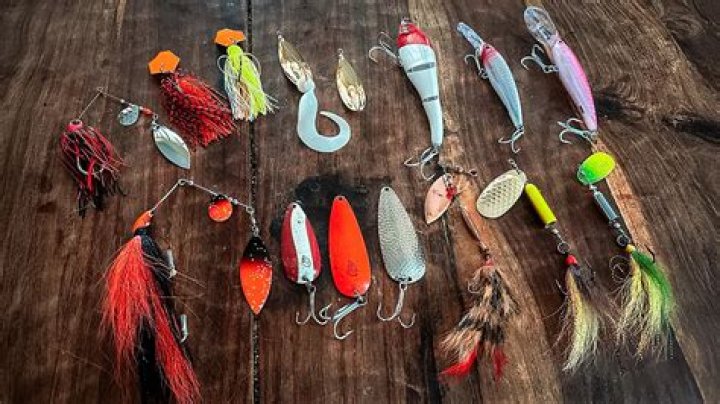 What are sand eels good bait for?