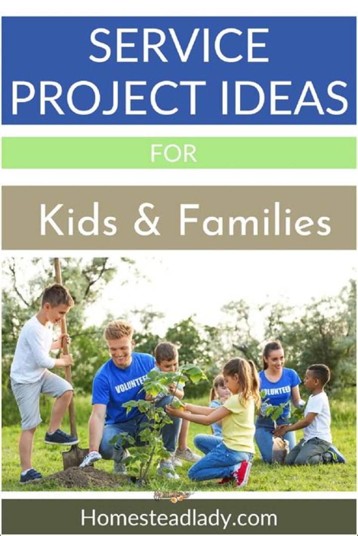 What are some service project ideas?