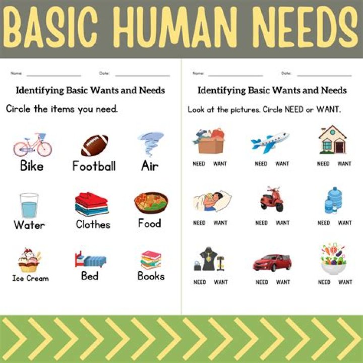 What are the 10 basic needs?