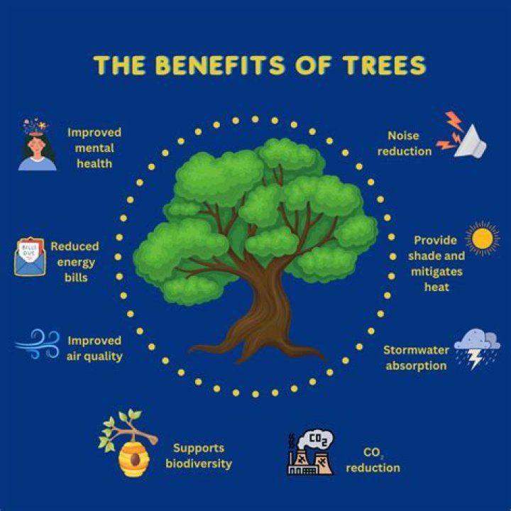 What are the benefits of plants and trees?