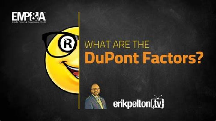 What are the DuPont factors?