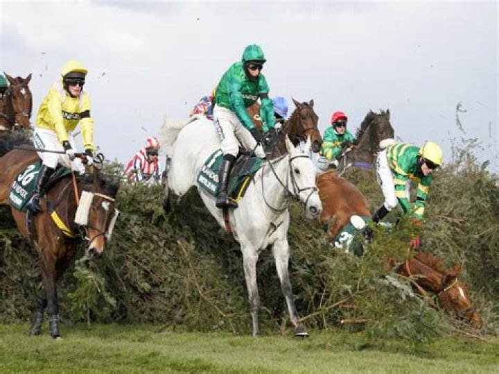 What are the weights for the Grand National?