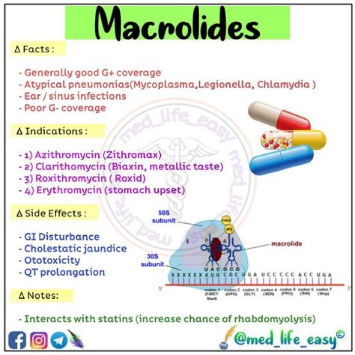 What bacteria do macrolides cover?