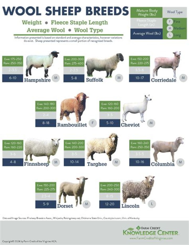 What breeds of sheep have fine wool?