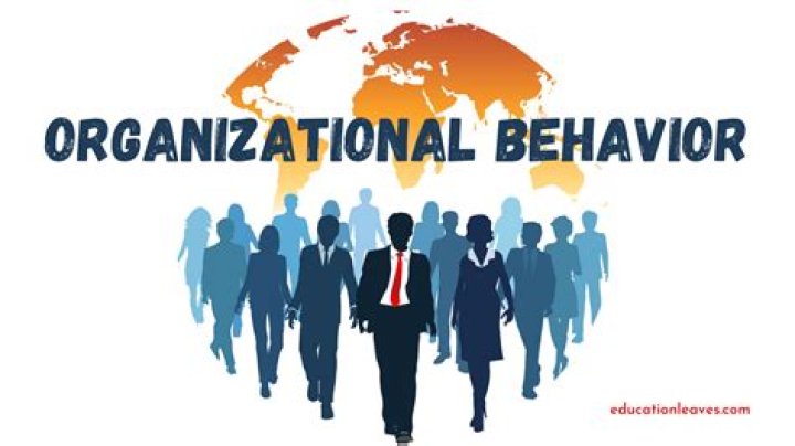 What can you do with a PhD in Organizational Behavior?